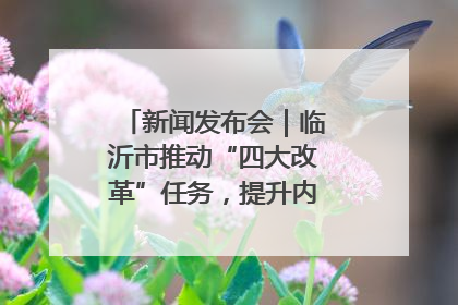 新闻发布会｜临沂市推动“四大改革”任务，提升内部审计监督效能