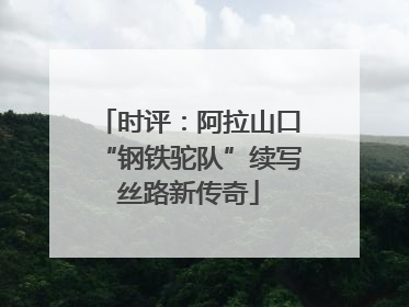 时评：阿拉山口“钢铁驼队”续写丝路新传奇