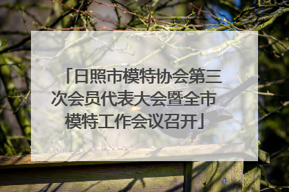 日照市模特协会第三次会员代表大会暨全市模特工作会议召开