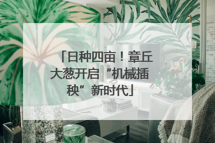 日种四亩！章丘大葱开启“机械插秧”新时代