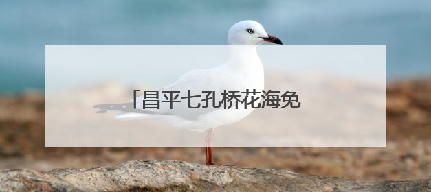 昌平七孔桥花海免费开放，6月中旬将到达“颜值巅峰”