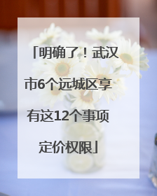 明确了！武汉市6个远城区享有这12个事项定价权限