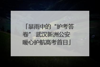 暴雨中的“护考答卷” 武汉新洲公安暖心护航高考首日