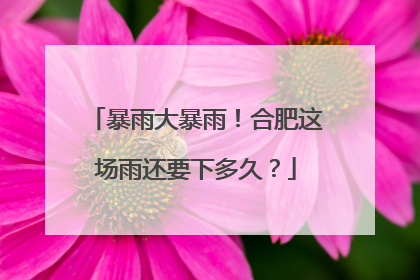 暴雨大暴雨！合肥这场雨还要下多久？