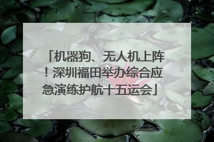 机器狗、无人机上阵！深圳福田举办综合应急演练护航十五运会