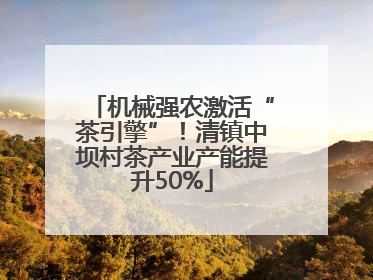 机械强农激活“茶引擎”！清镇中坝村茶产业产能提升50%
