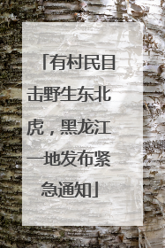 有村民目击野生东北虎，黑龙江一地发布紧急通知
