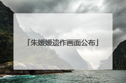 朱媛媛遗作画面公布