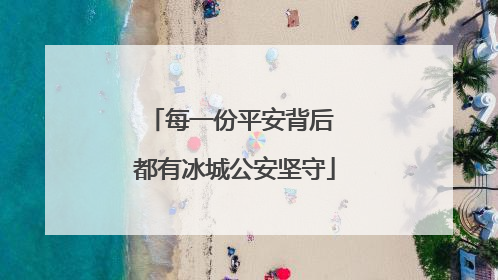 每一份平安背后 都有冰城公安坚守