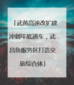 武黄高速改扩建冲刺年底通车，武昌鱼服务区打造交旅综合体