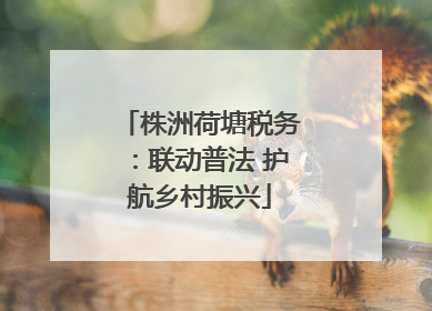 株洲荷塘税务：联动普法 护航乡村振兴