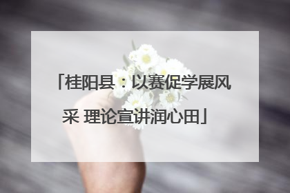 桂阳县：以赛促学展风采 理论宣讲润心田