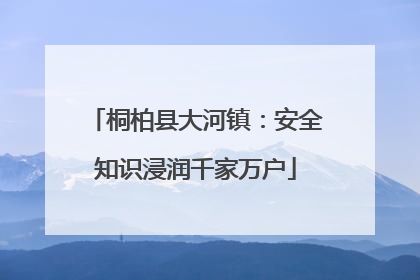 桐柏县大河镇：安全知识浸润千家万户