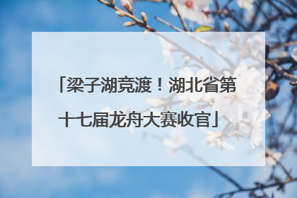 梁子湖竞渡！湖北省第十七届龙舟大赛收官