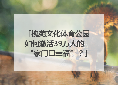 槐苑文化体育公园如何激活39万人的“家门口幸福”？