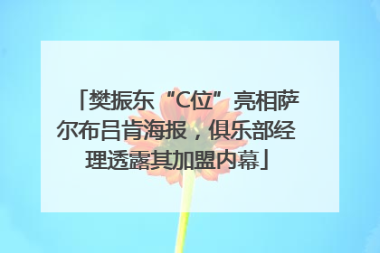 樊振东“C位”亮相萨尔布吕肯海报，俱乐部经理透露其加盟内幕