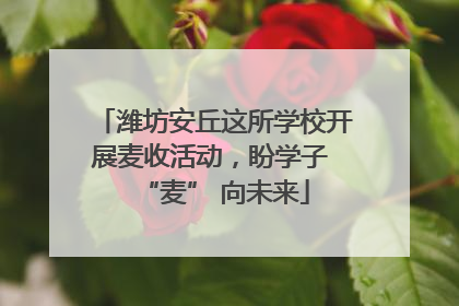 潍坊安丘这所学校开展麦收活动，盼学子 “麦” 向未来