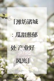 潍坊诸城：瓜甜葱郁处 产业好风光