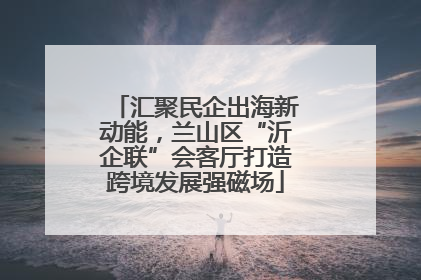 汇聚民企出海新动能，兰山区“沂企联”会客厅打造跨境发展强磁场