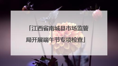 江西省南城县市场监管局开展端午节专项检查