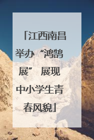 江西南昌举办“鸿鹄展” 展现中小学生青春风貌