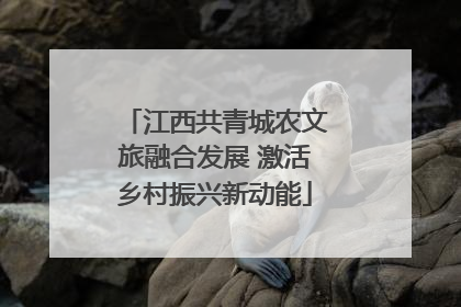 江西共青城农文旅融合发展 激活乡村振兴新动能