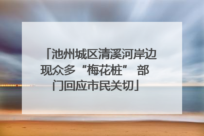 池州城区清溪河岸边现众多“梅花桩” 部门回应市民关切