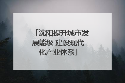 沈阳提升城市发展能级 建设现代化产业体系