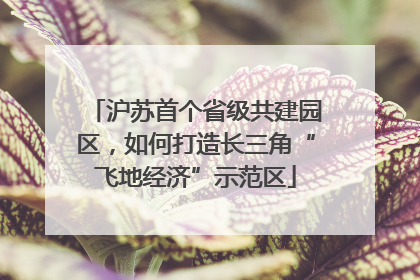 沪苏首个省级共建园区，如何打造长三角“飞地经济”示范区