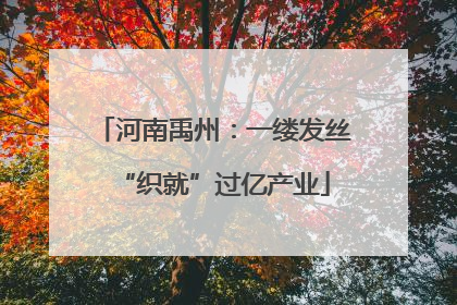 河南禹州：一缕发丝“织就”过亿产业