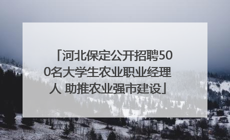 河北保定公开招聘500名大学生农业职业经理人 助推农业强市建设