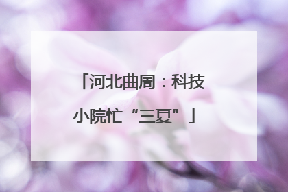 河北曲周：科技小院忙“三夏”