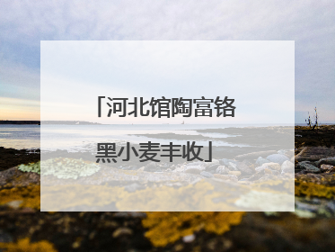 河北馆陶富铬黑小麦丰收