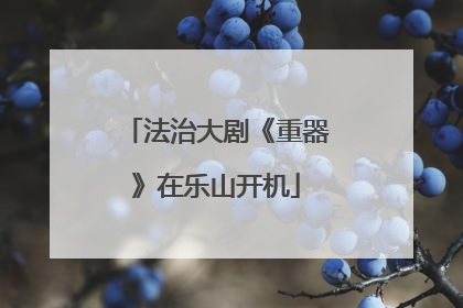 法治大剧《重器》在乐山开机
