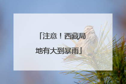 注意！西藏局地有大到暴雨