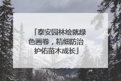 泰安园林绘就绿色画卷，精细防治护佑苗木成长