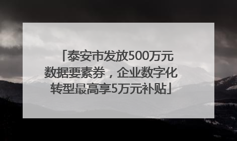 泰安市发放500万元数据要素券，企业数字化转型最高享5万元补贴