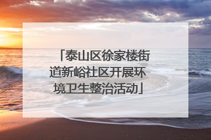 泰山区徐家楼街道新峪社区开展环境卫生整治活动