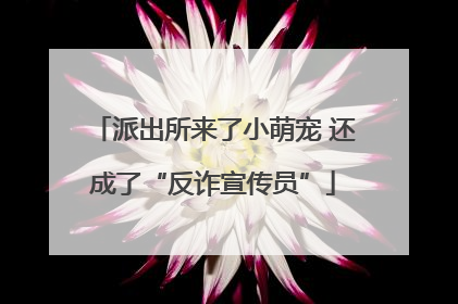 派出所来了小萌宠 还成了“反诈宣传员”