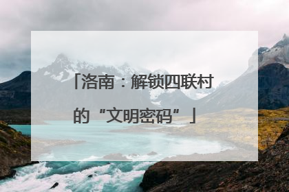 洛南：解锁四联村的“文明密码”