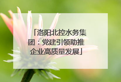 洛阳北控水务集团：党建引领助推企业高质量发展