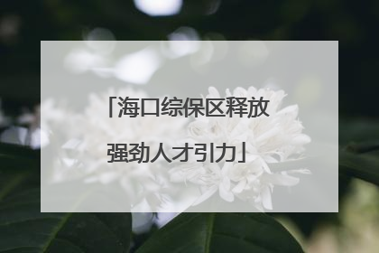 海口综保区释放强劲人才引力