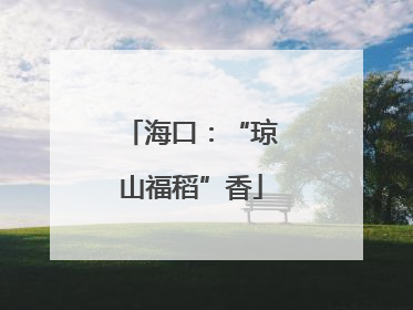 海口：“琼山福稻”香