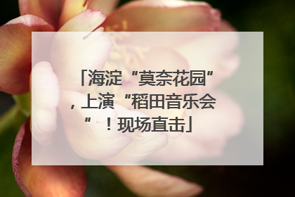 海淀“莫奈花园”，上演“稻田音乐会”！现场直击