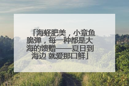 海蛏肥美，小章鱼脆弹，每一种都是大海的馈赠——夏日到海边 就爱那口鲜
