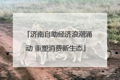 济南自助经济浪潮涌动 重塑消费新生态