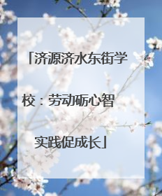 济源济水东街学校：劳动砺心智 实践促成长