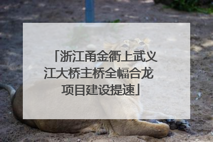 浙江甬金衢上武义江大桥主桥全幅合龙 项目建设提速