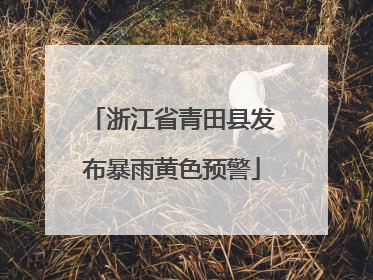 浙江省青田县发布暴雨黄色预警