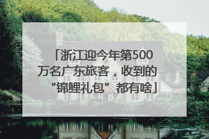 浙江迎今年第500万名广东旅客，收到的“锦鲤礼包”都有啥